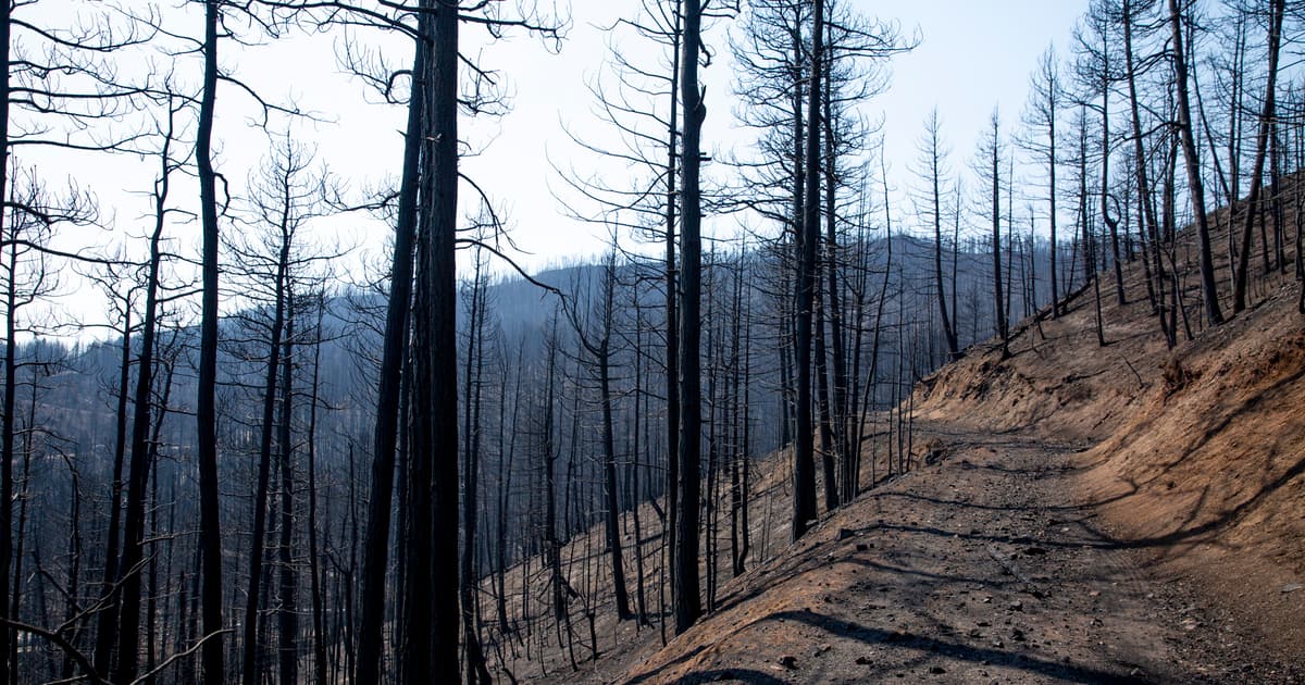 Aspen Acres fire: Now nearly 100K acres, and nearly half contained