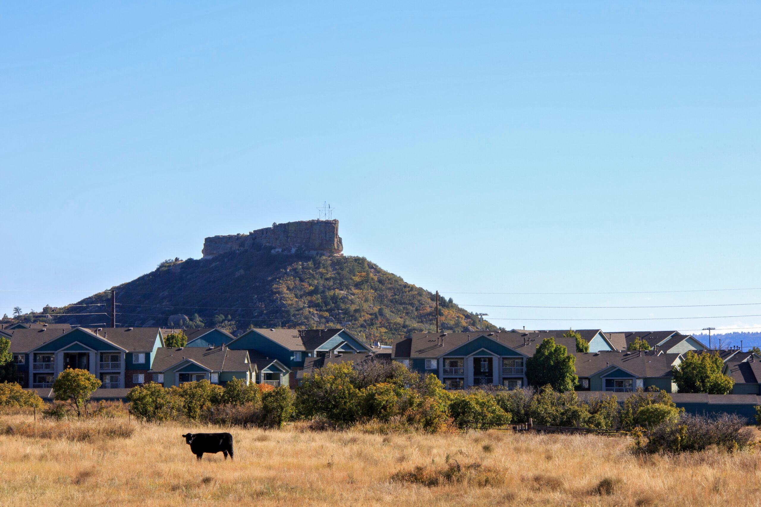 A view of Castle Rock through a field with cows in it