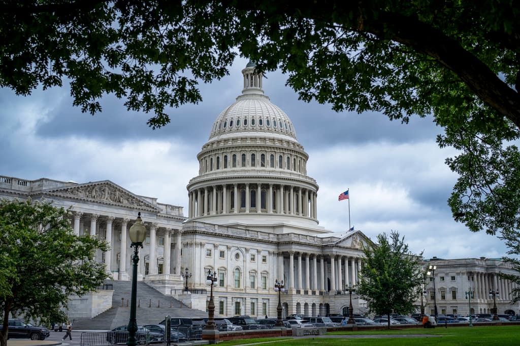 Capitol in Washington D.C.