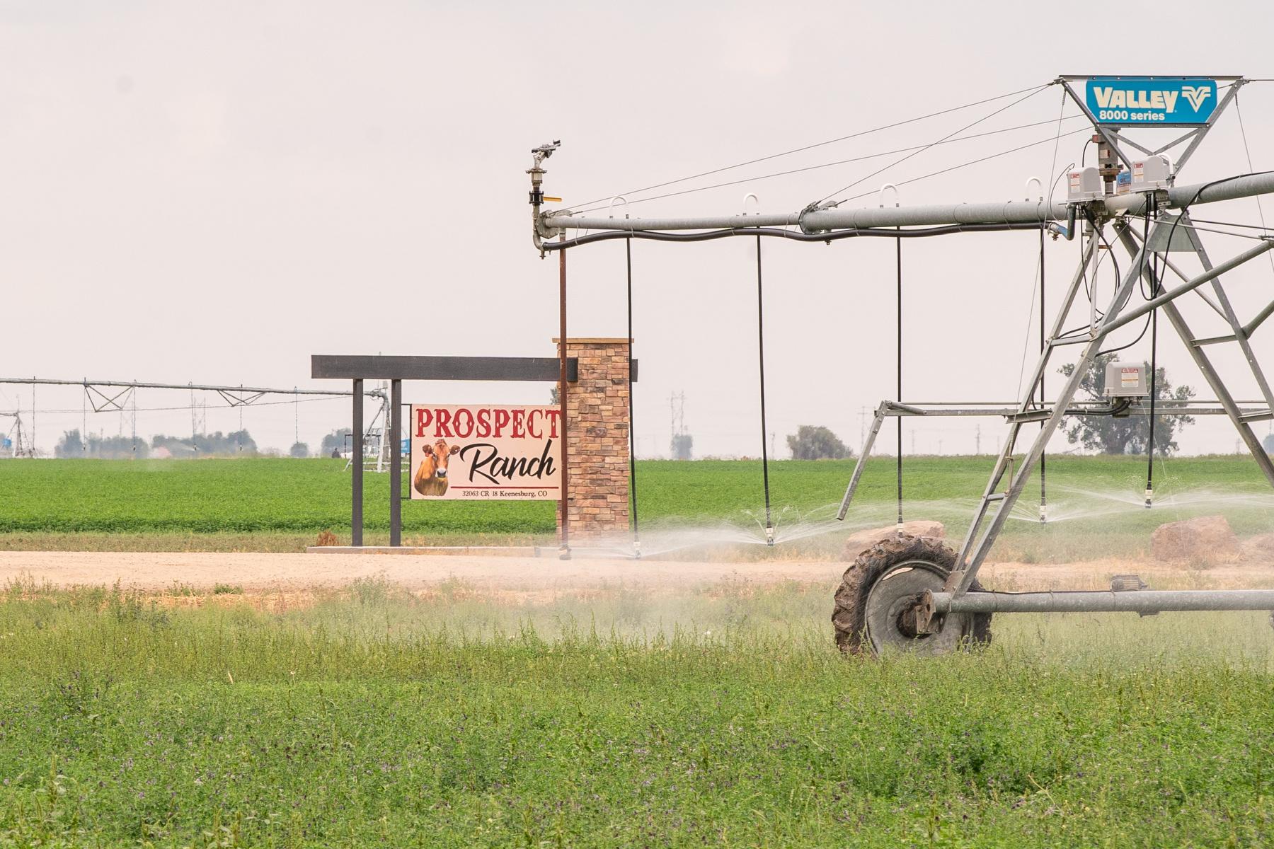 The Prospect Ranch Dairy outside Keenesburg