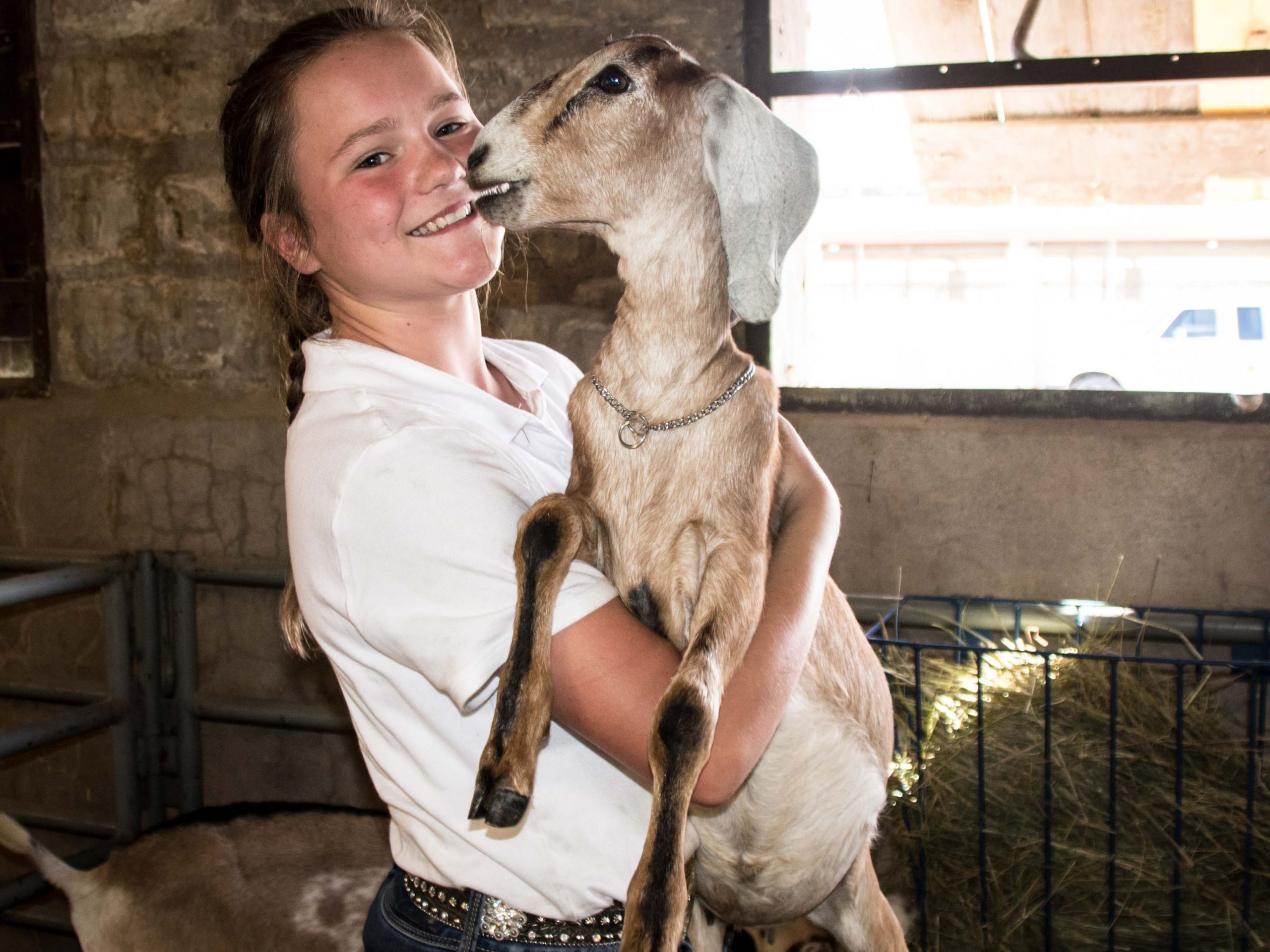 14-year-old Alice Zuber of Fairplay showed goats at the 2018 Colorado State Fair.