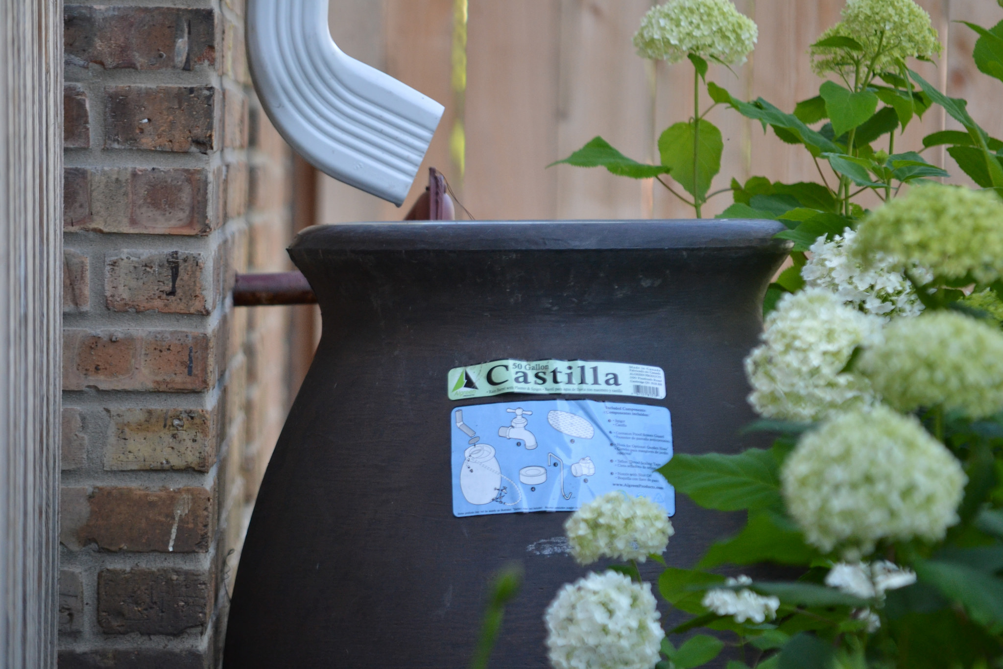 Photo: Rain barrel (Flickr/CC)