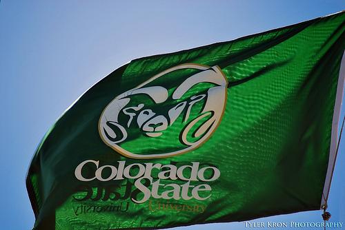 CSU Flag