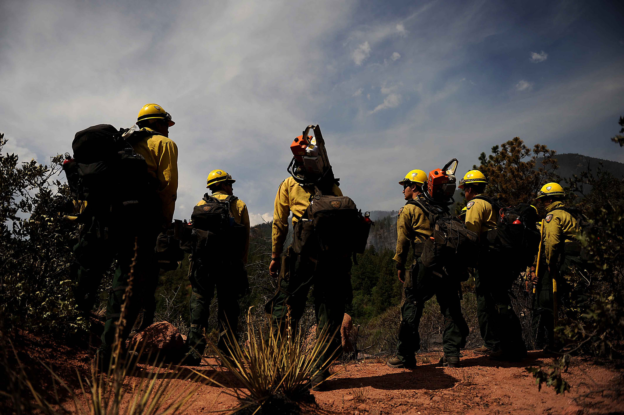 Group of Firefighters Standing