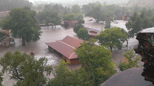 Photo: What&#039;s in that dirty flood water? A lot of sewage.