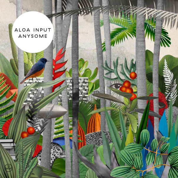 Review: 'Anysome,' Aloa Input