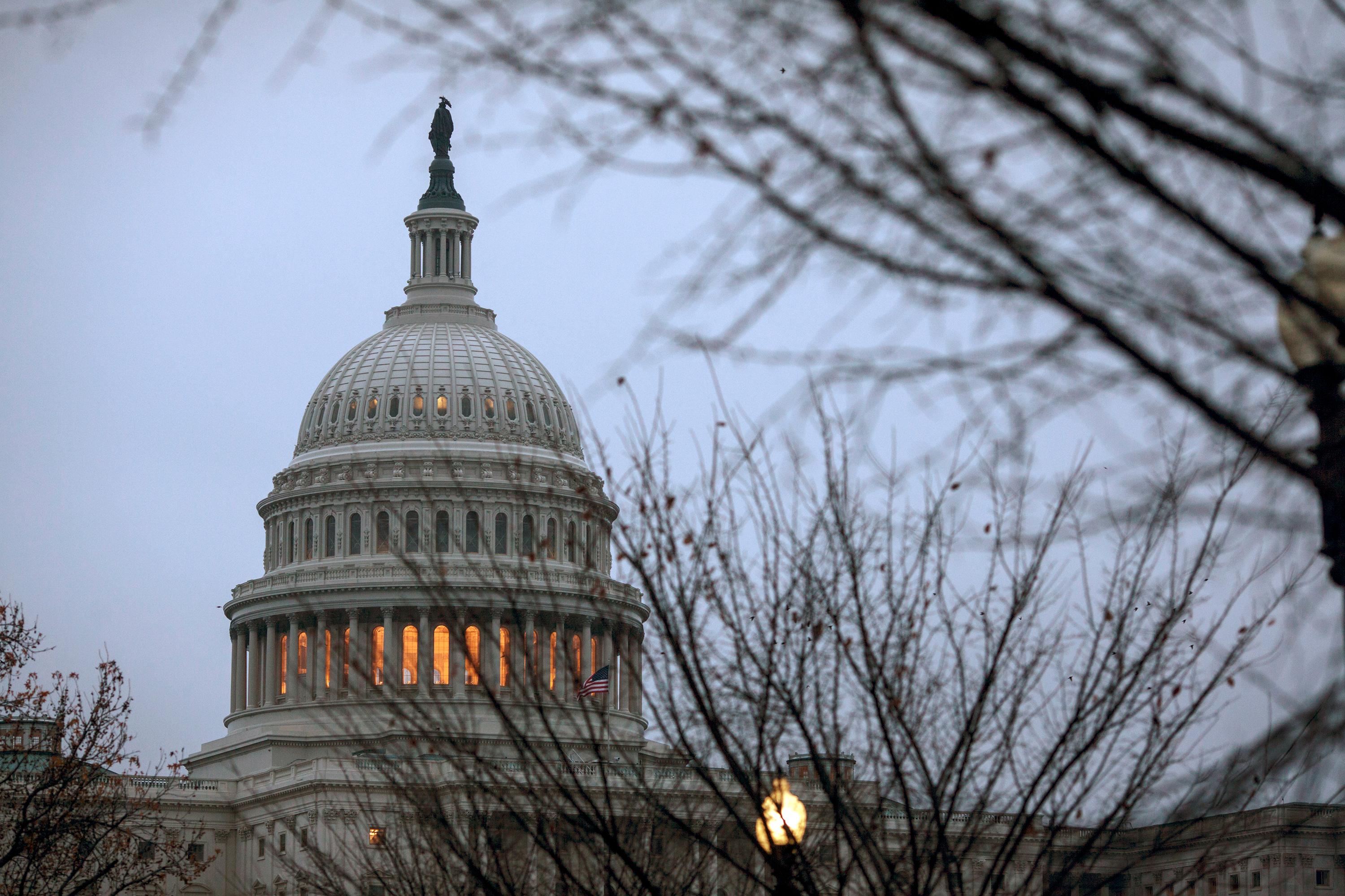 Photo: U.S. Capitol Winter Trees (AP)