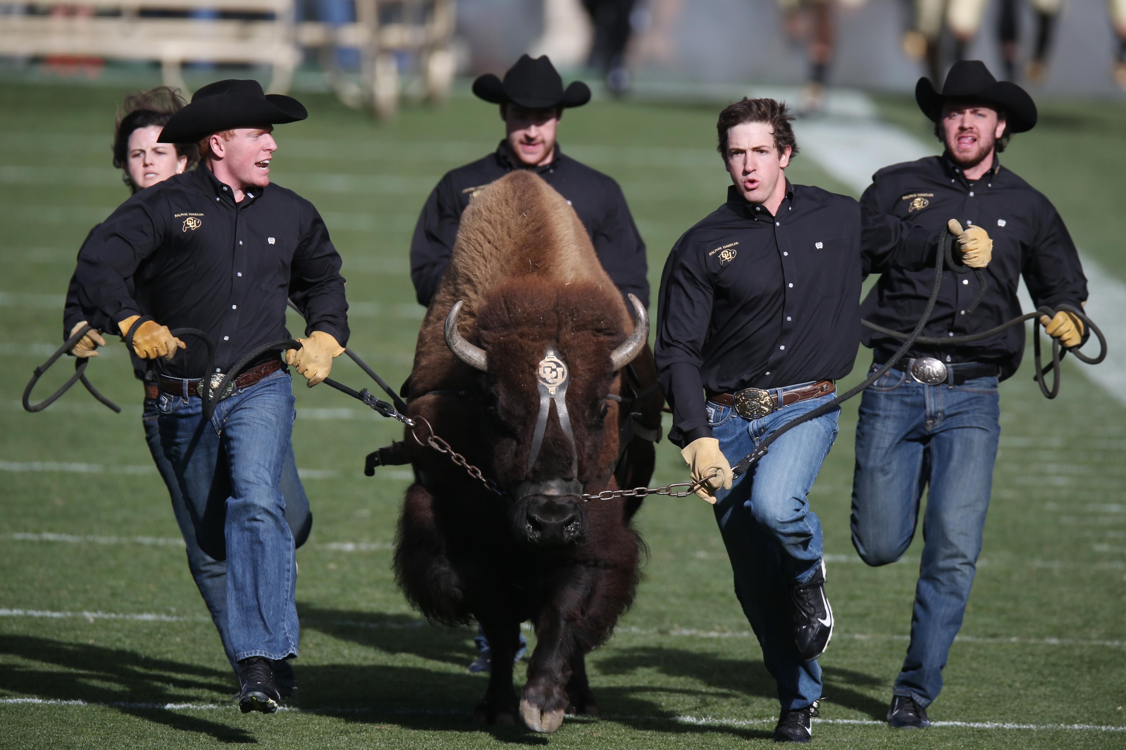 Handlers, Ralphie