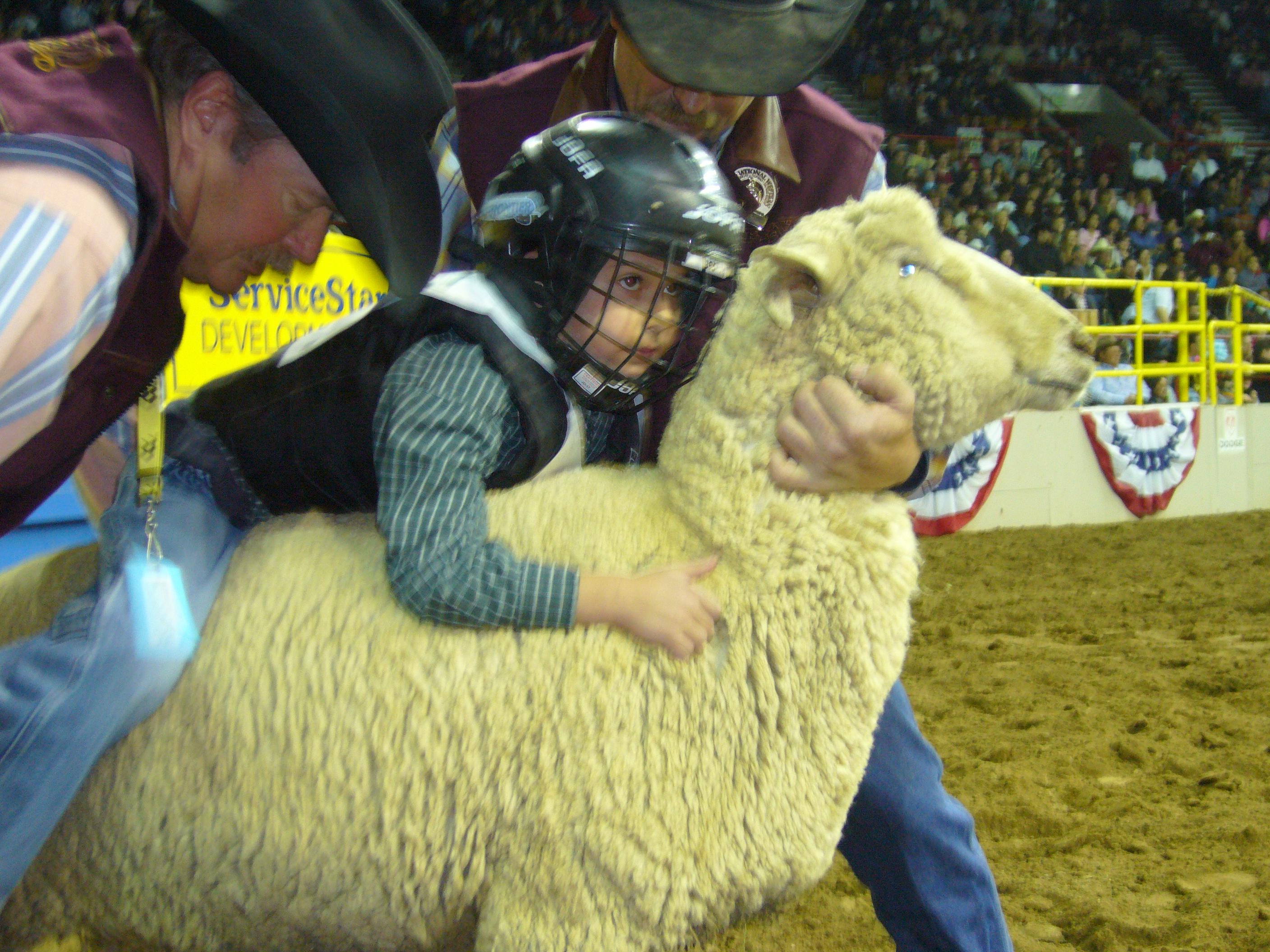 Photo: Mutton buster Asher Kark