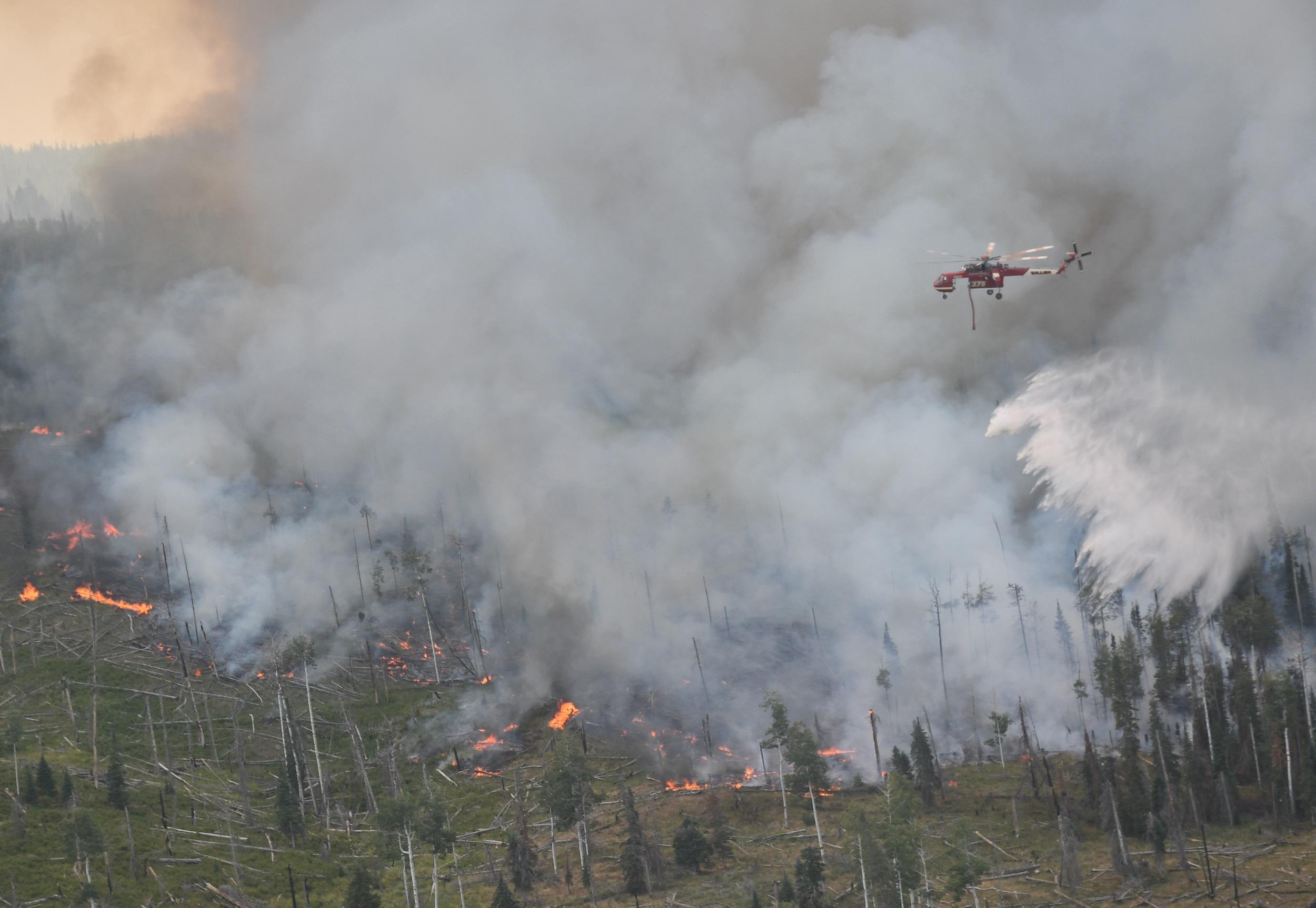 Photo: Cabin Lake Fire