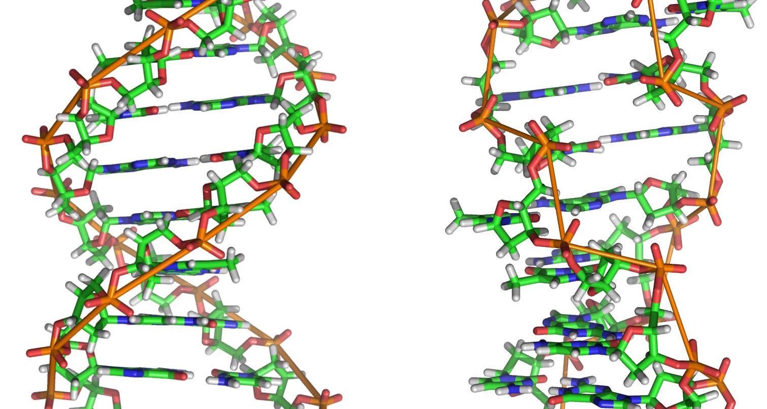 Graphic: DNA (Wikimedia)