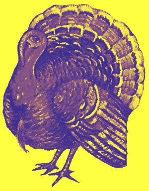 Photo: Duotone turkey