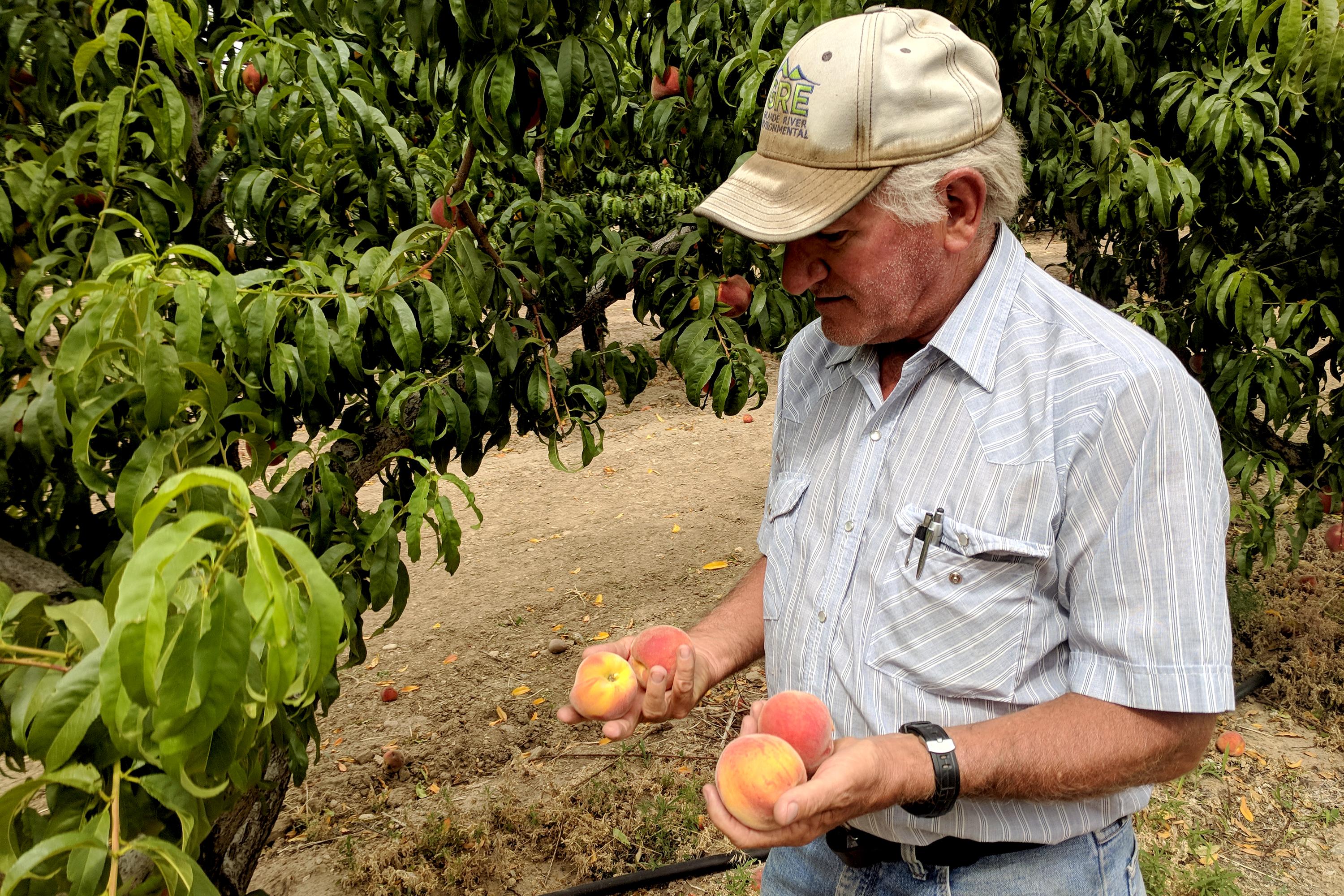 Photo: Mesa County Republicans And Immigration 3 | Brad Brophy Peaches