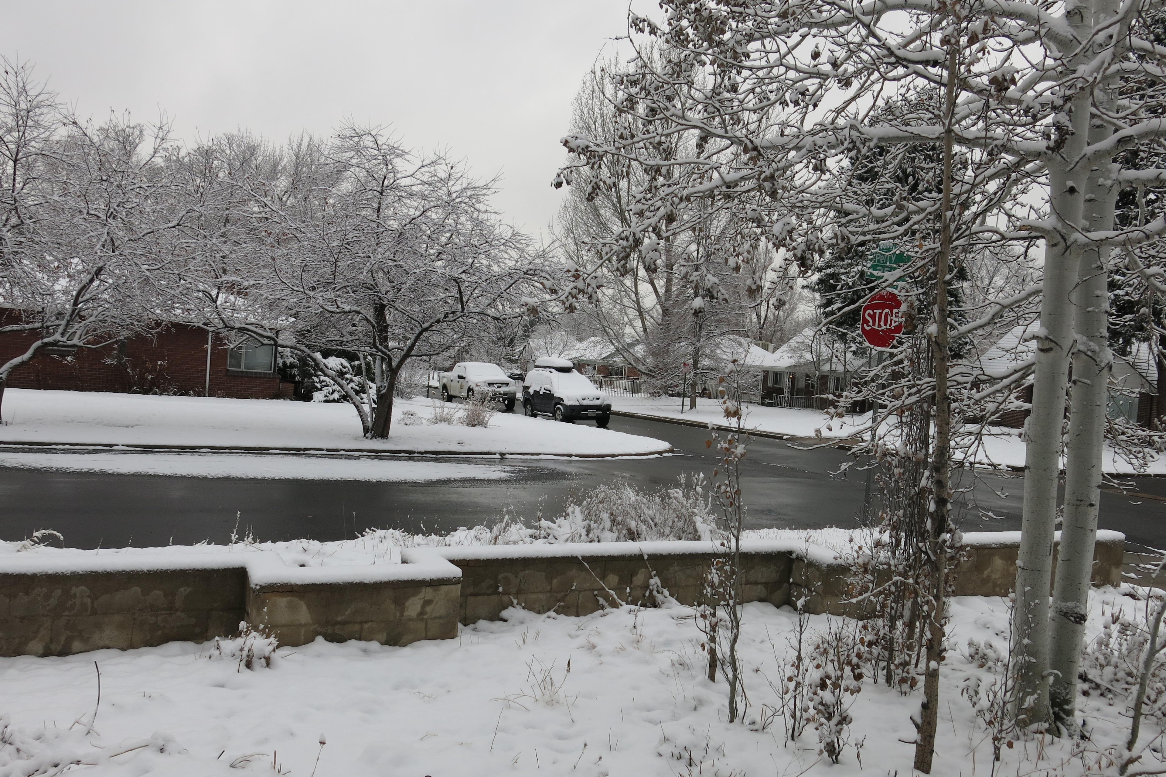 Photo: Saturday morning snow