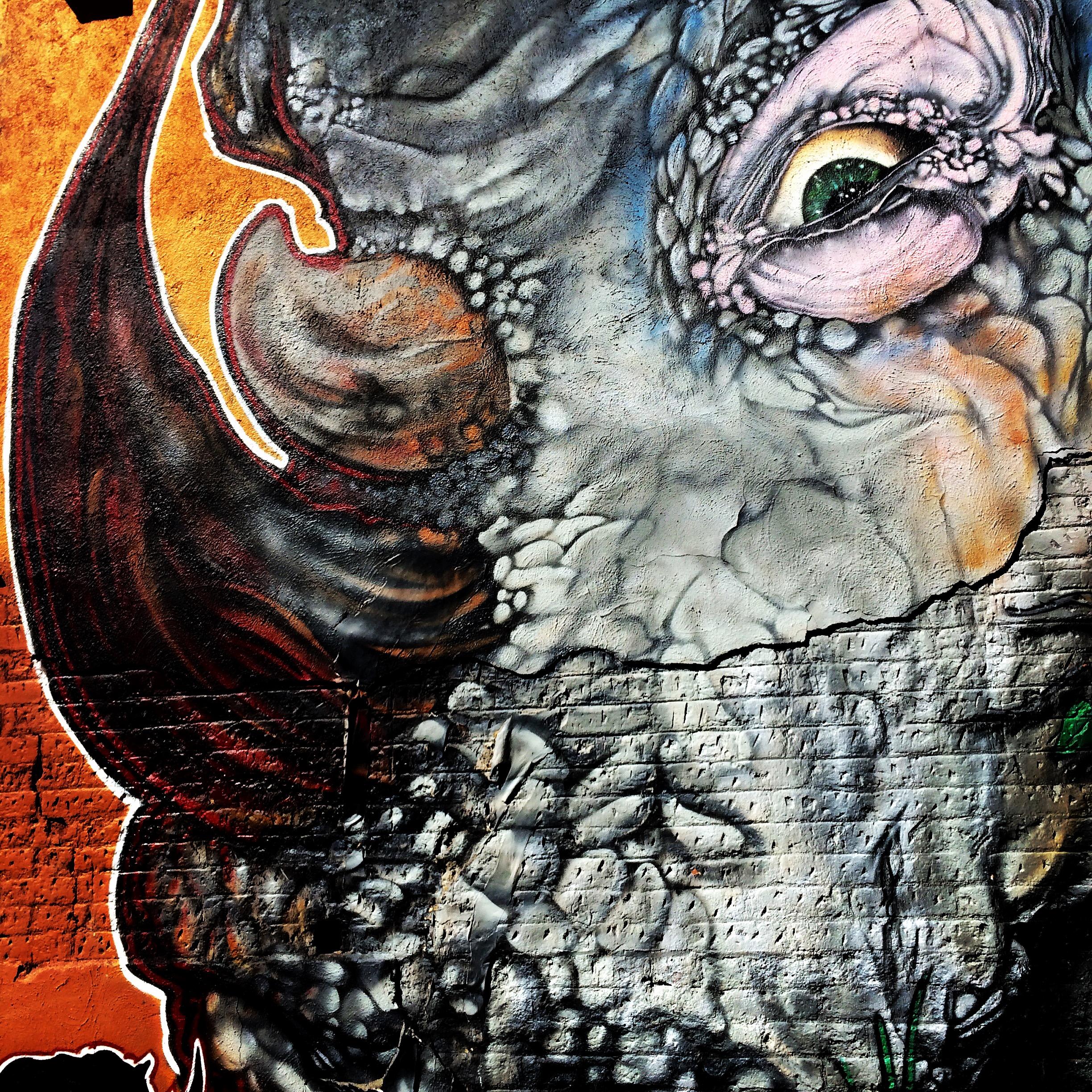 Photo: Rhino mural in RiNo