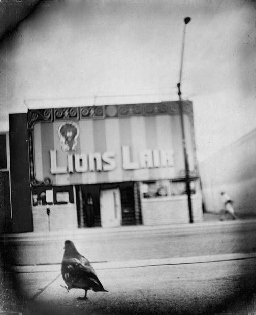 Photo: 36 Views of the Lions Lair