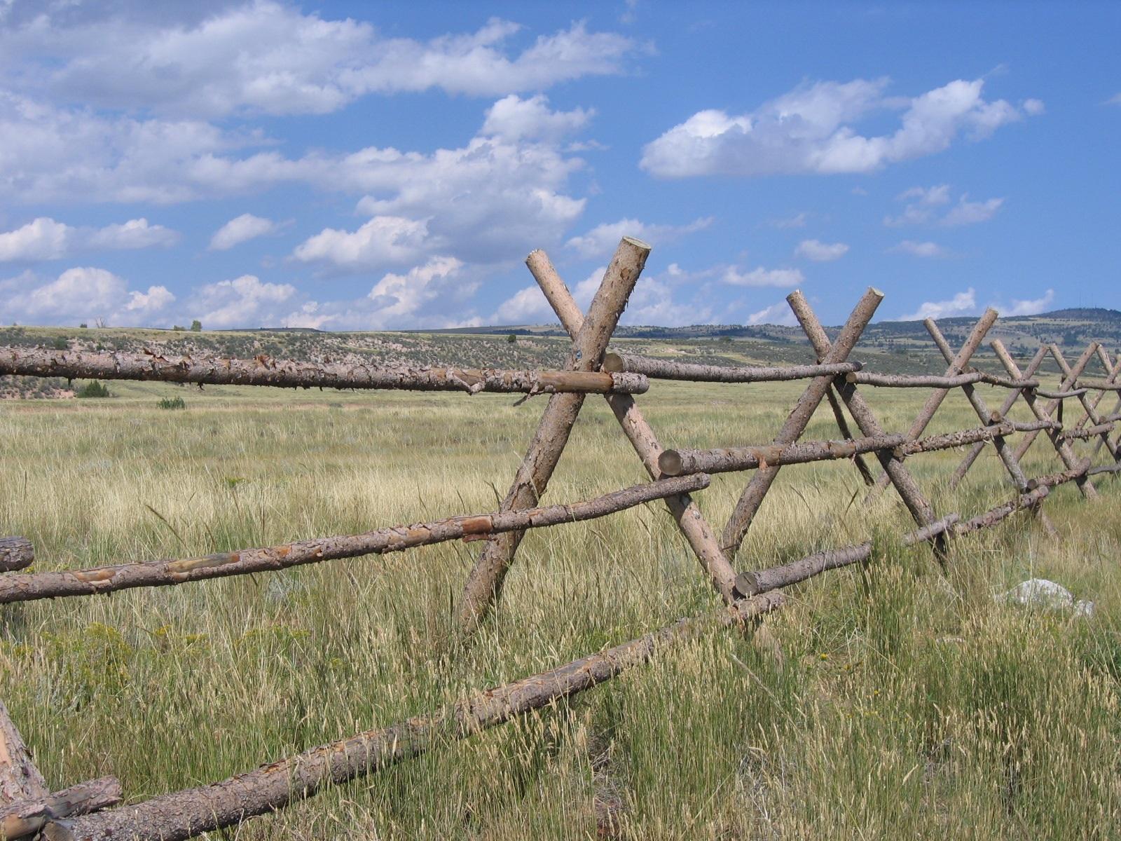 Matthew Shepard Hate Crimes: Why People Don't Report Them
