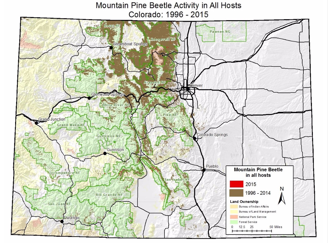 Photo: Pine Beetle Kill Forest 1995-2015