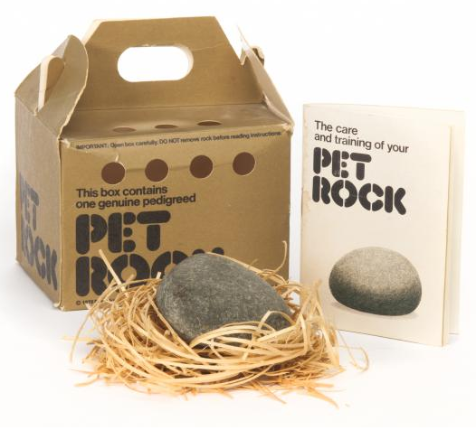 Photo: pet rock