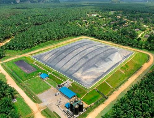 photo: palm oil