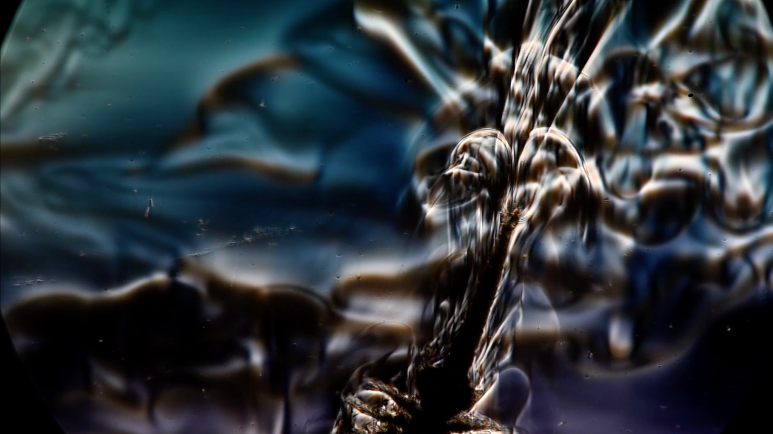 20180418_shrimp_waves