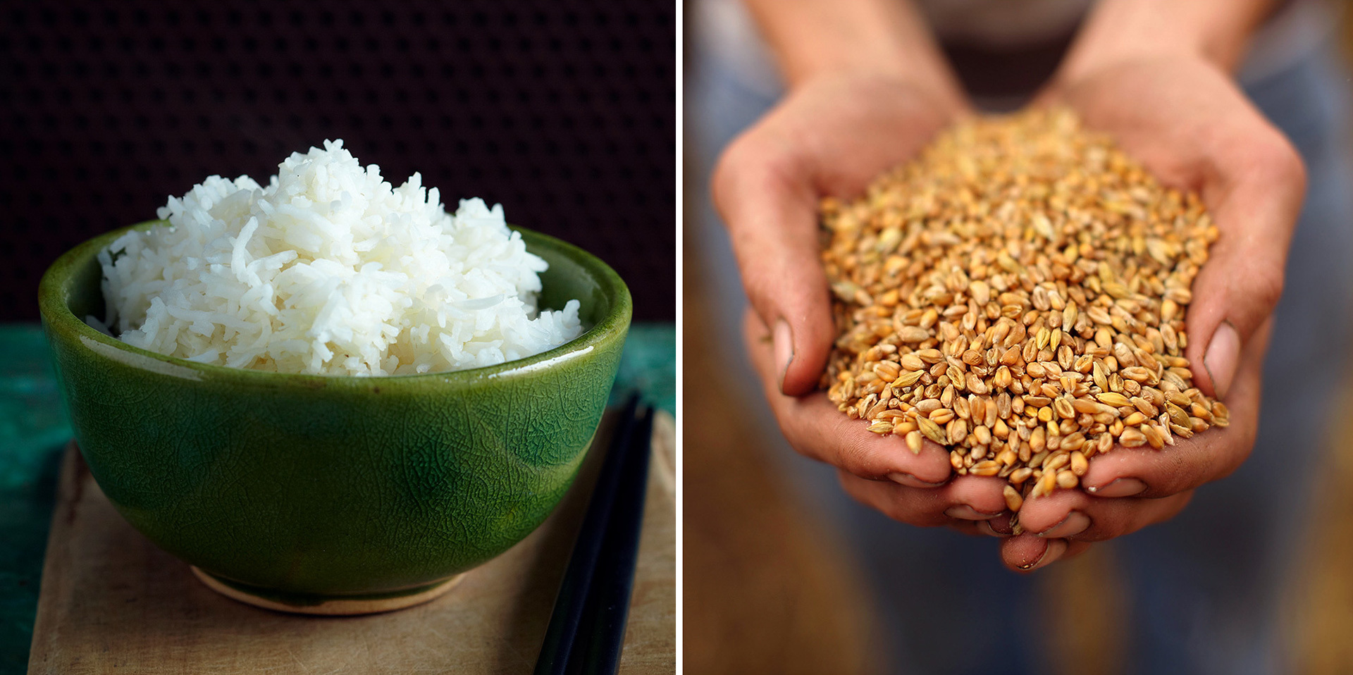 rice-wheat-2