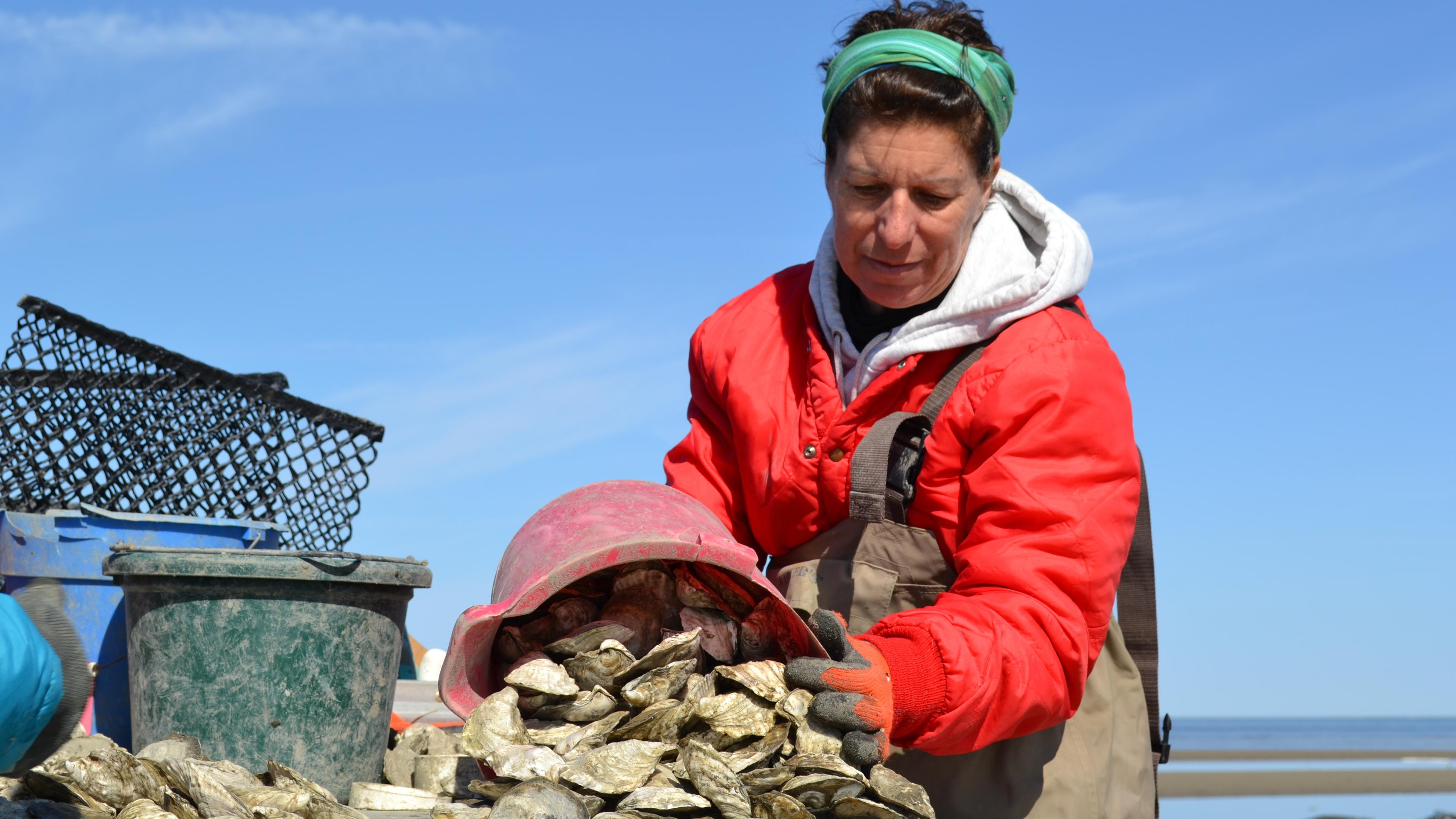 sweet-amalia-oyster-farm-lisa-calvo