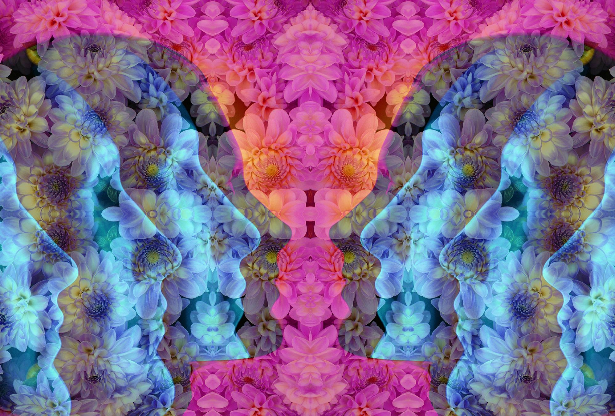 trip-1