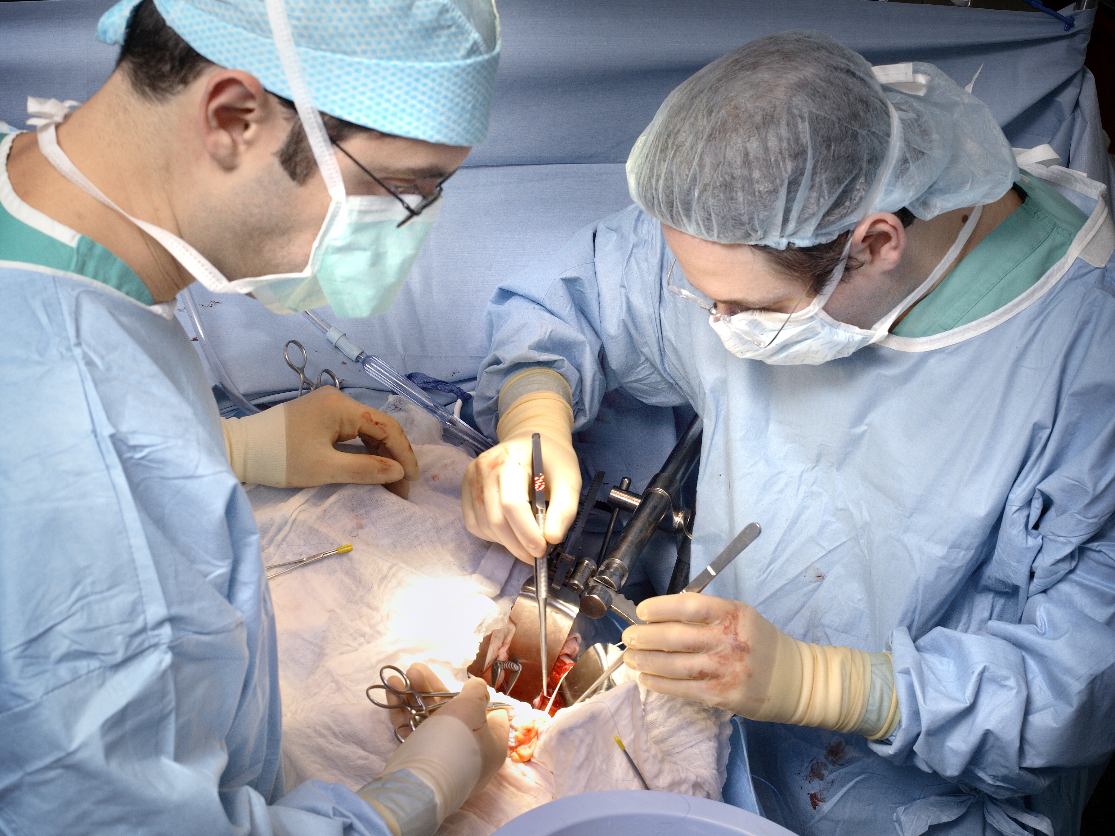 hopkins-organs-2