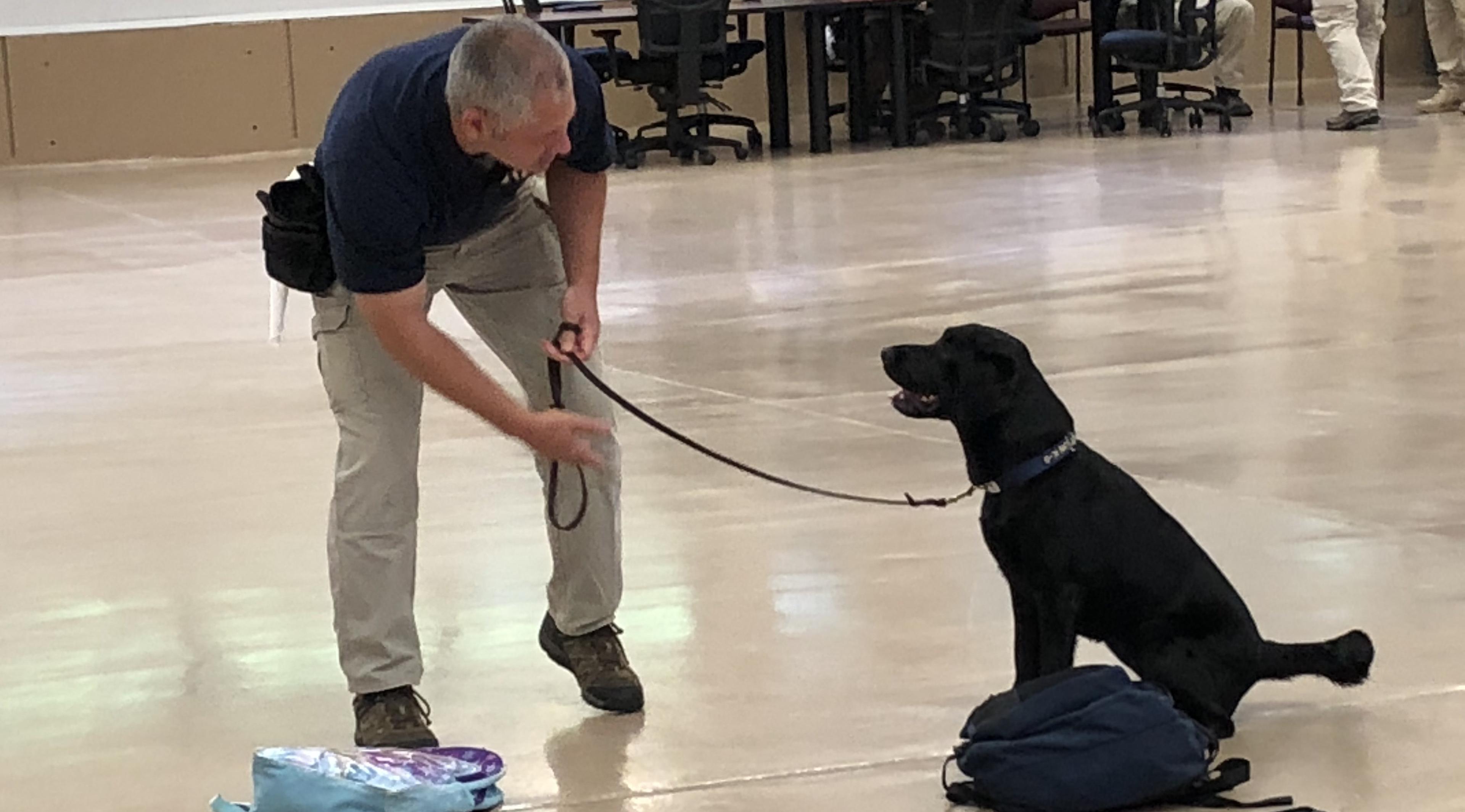 atf-dogs