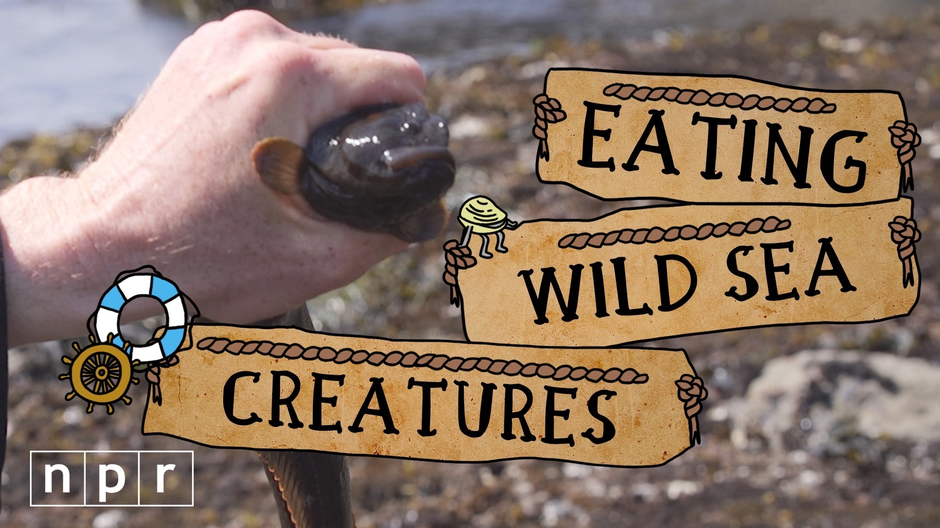 seaforaging_thumb
