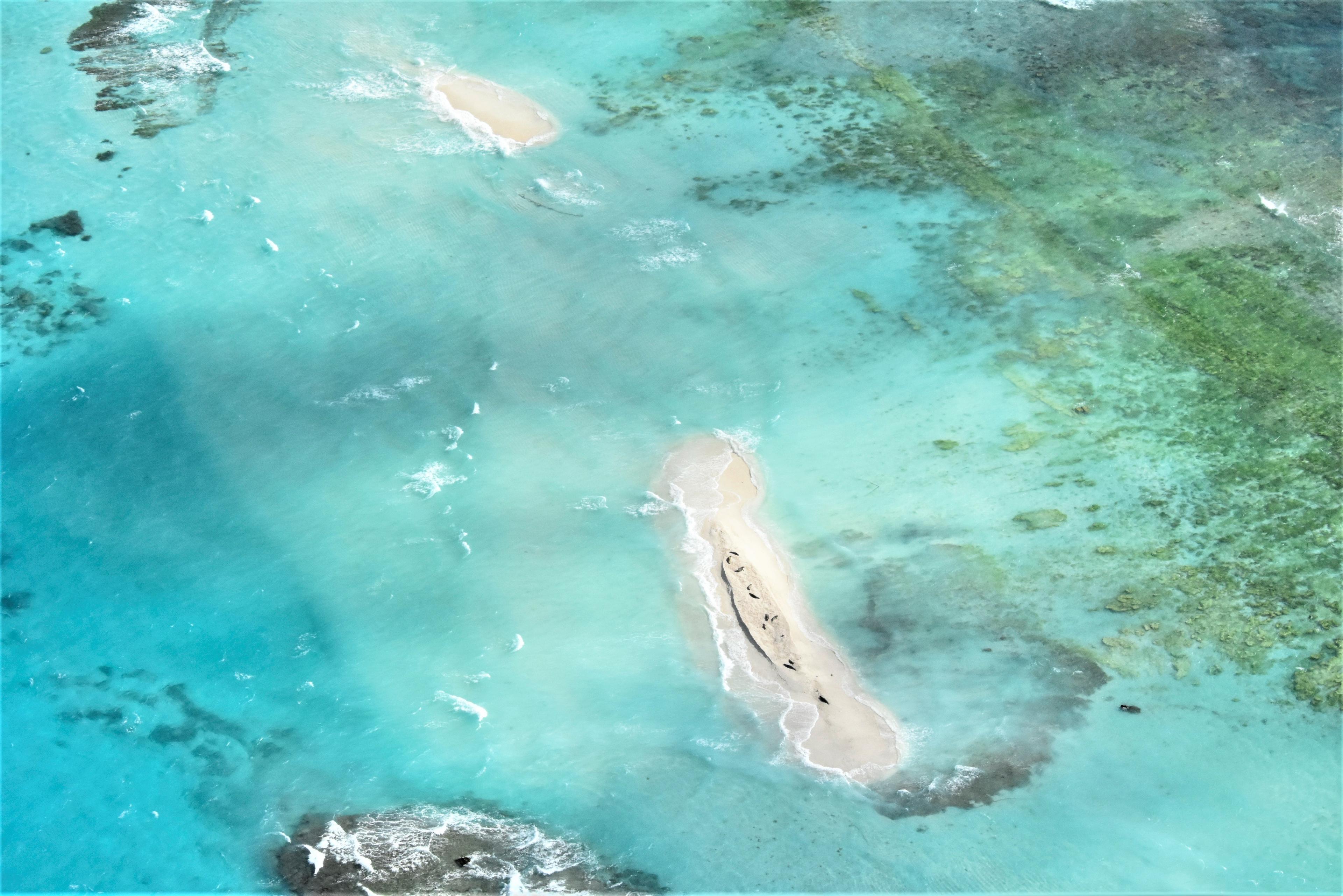 copy-of-ffs-east-island-usfws-dan-link-102018