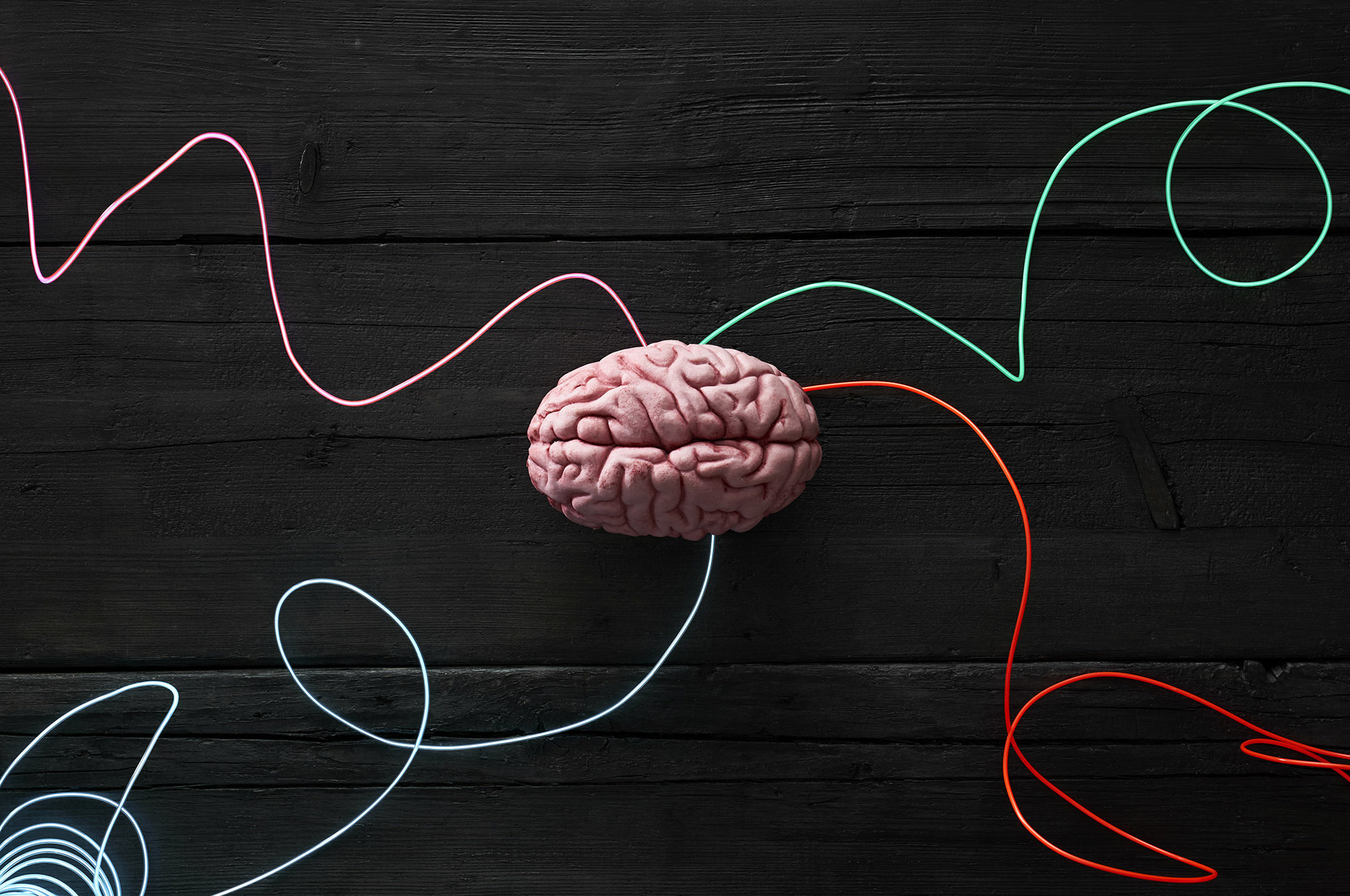 brain