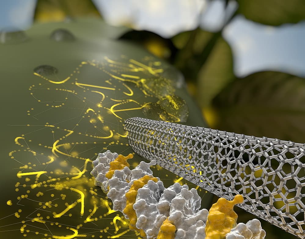 3nano
