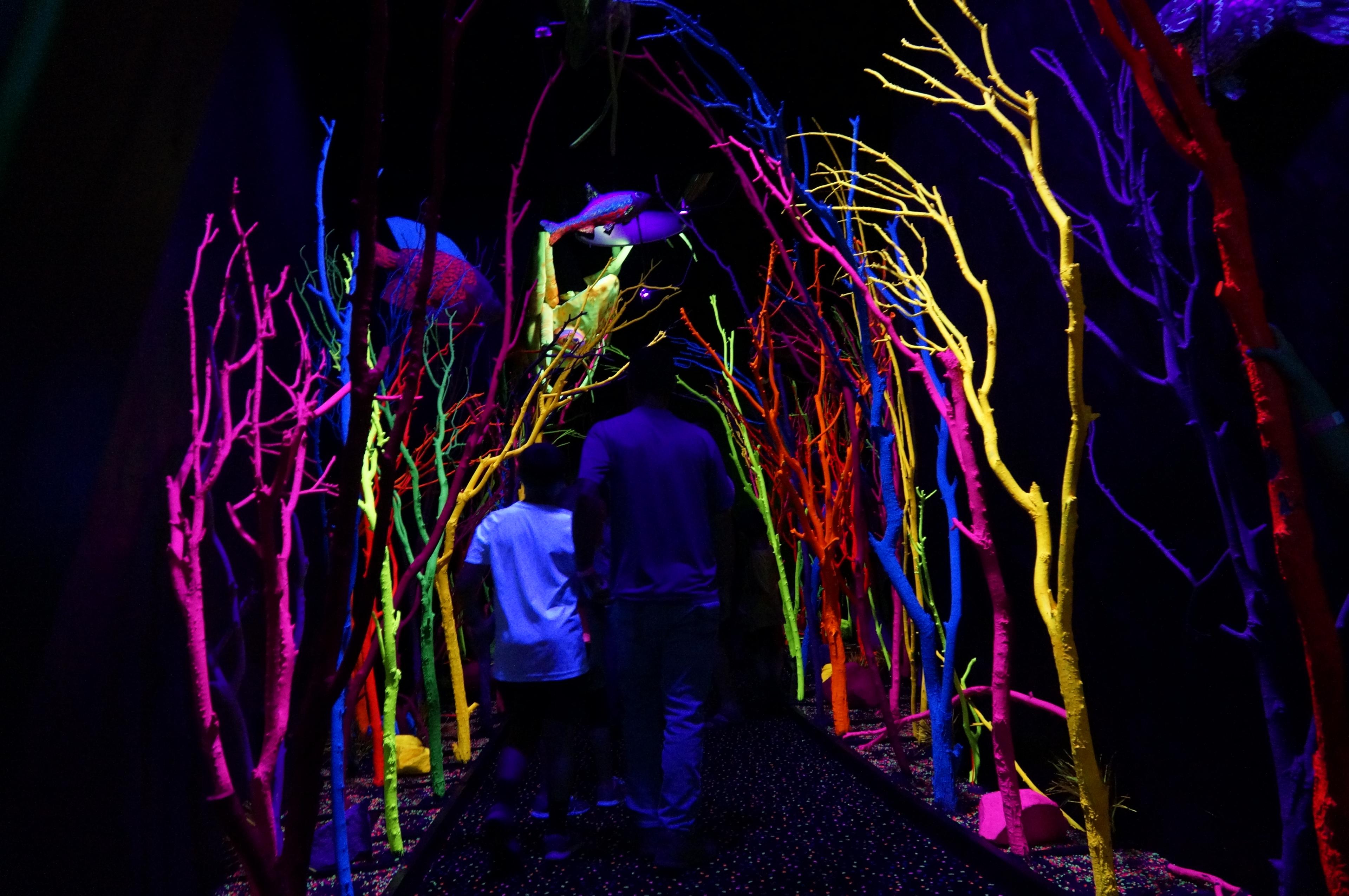 Visitors walk through an iconic section of Meow Wolf’s Santa Fe installation on July 2, 2018.