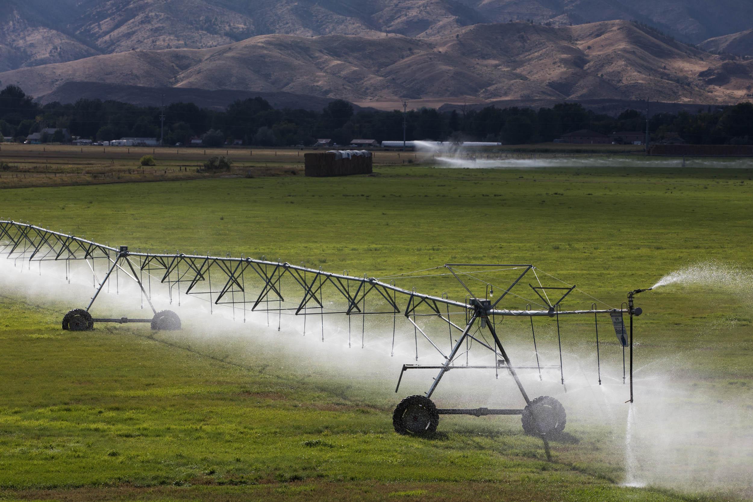 Irrigation