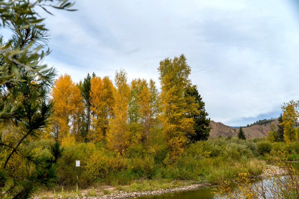 Fall Foliage Granby