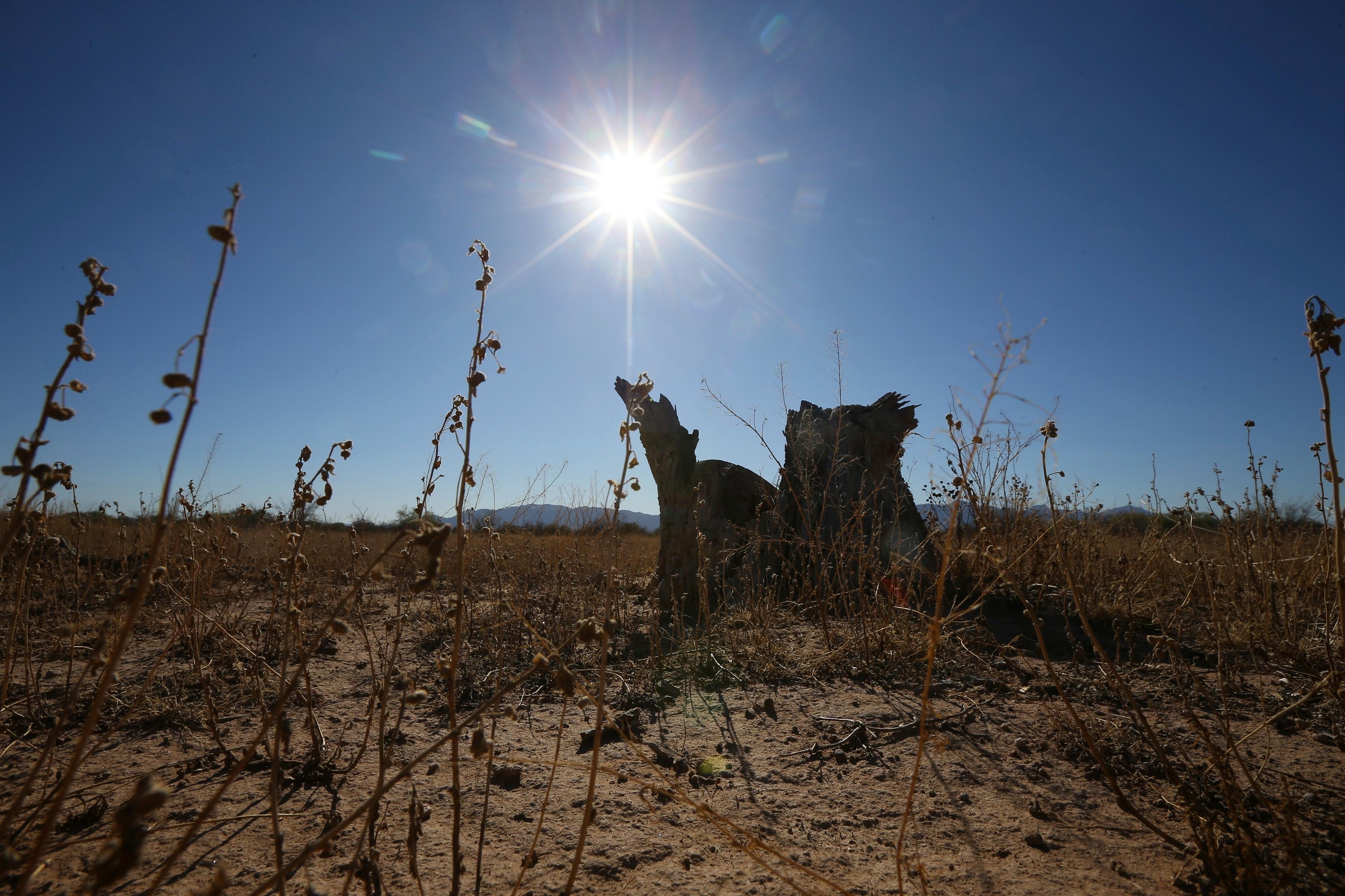 Dry Monsoon