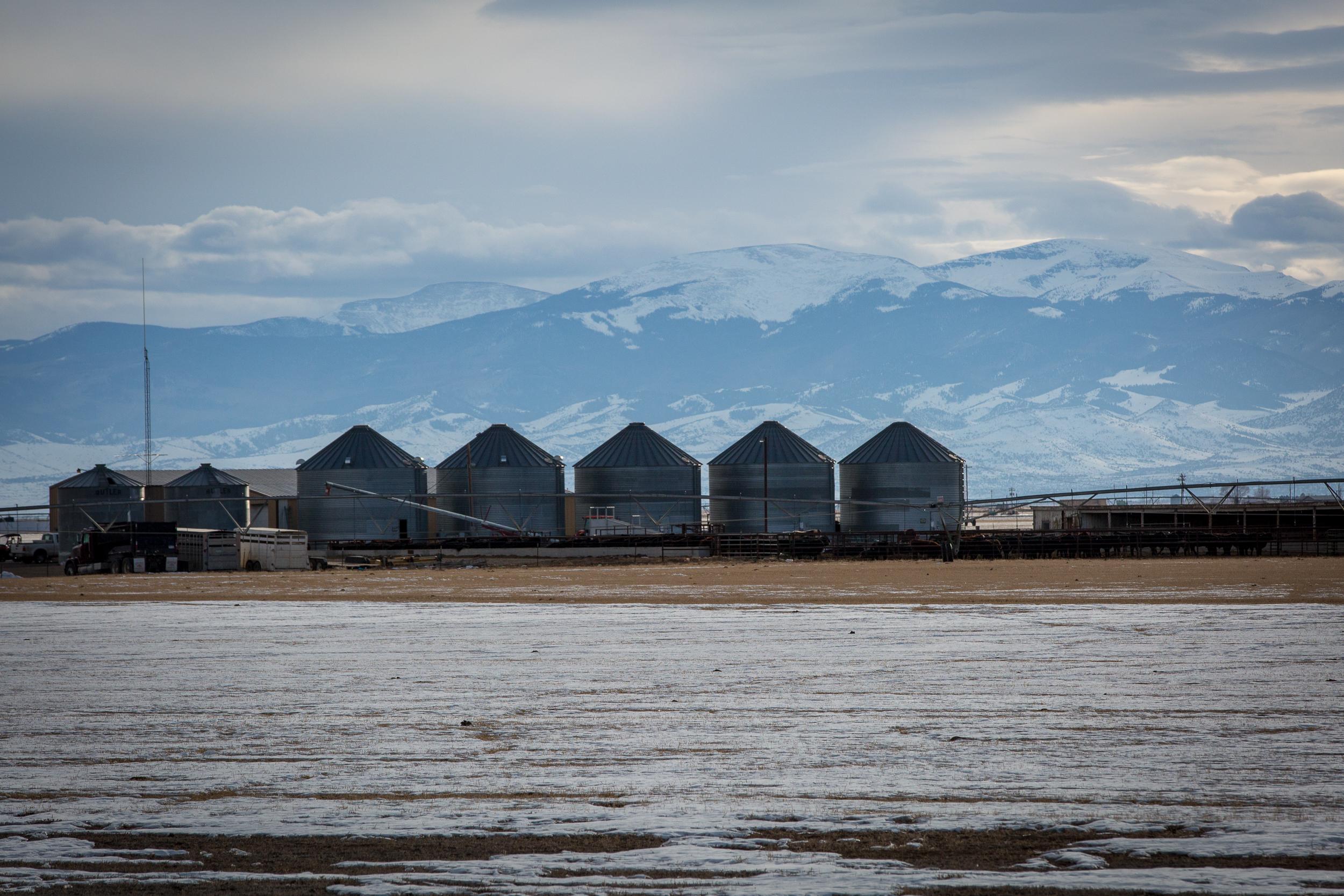 San Luis Valley Farm