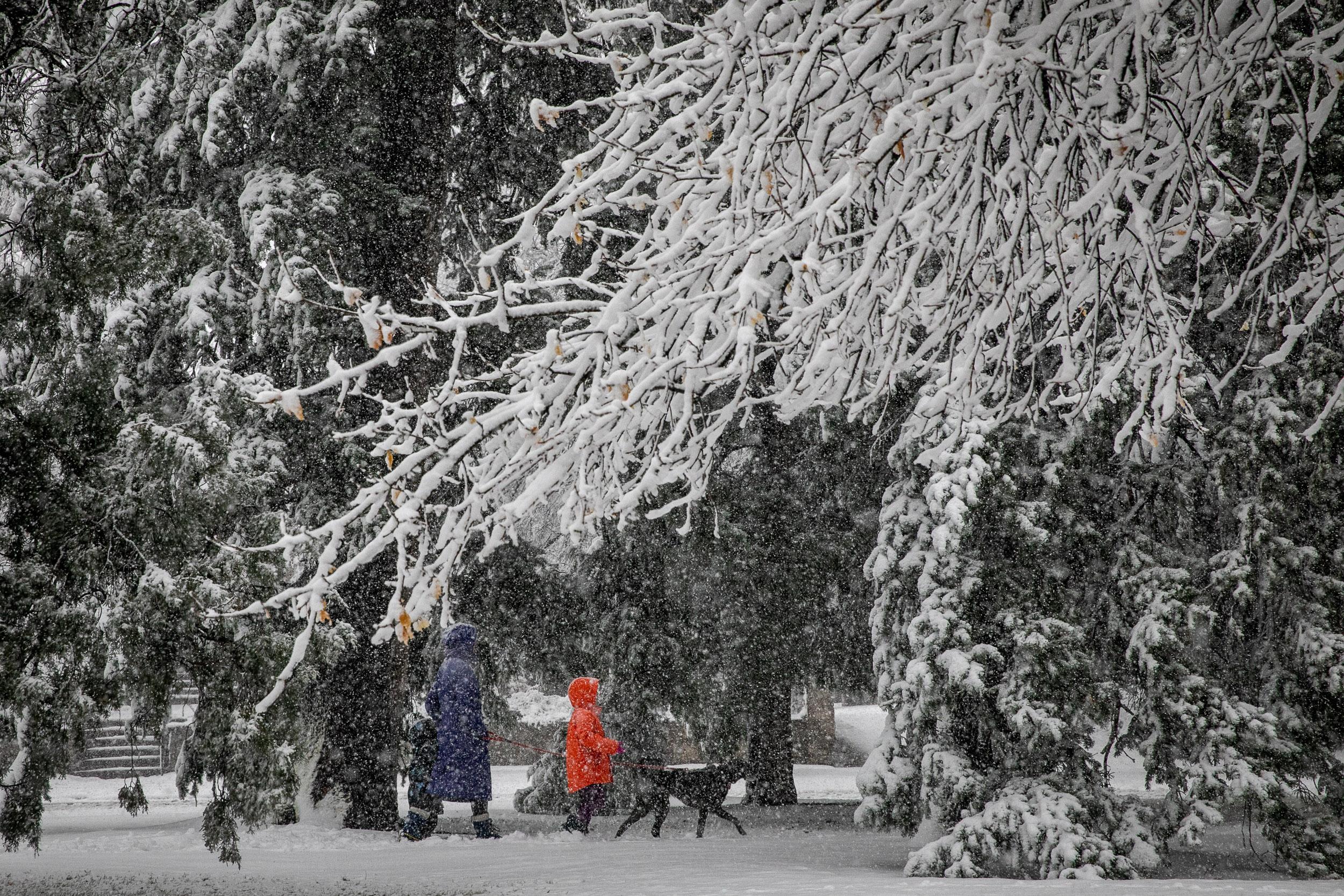 Coronavirus, Social Distancing, And Now Snow In Denver