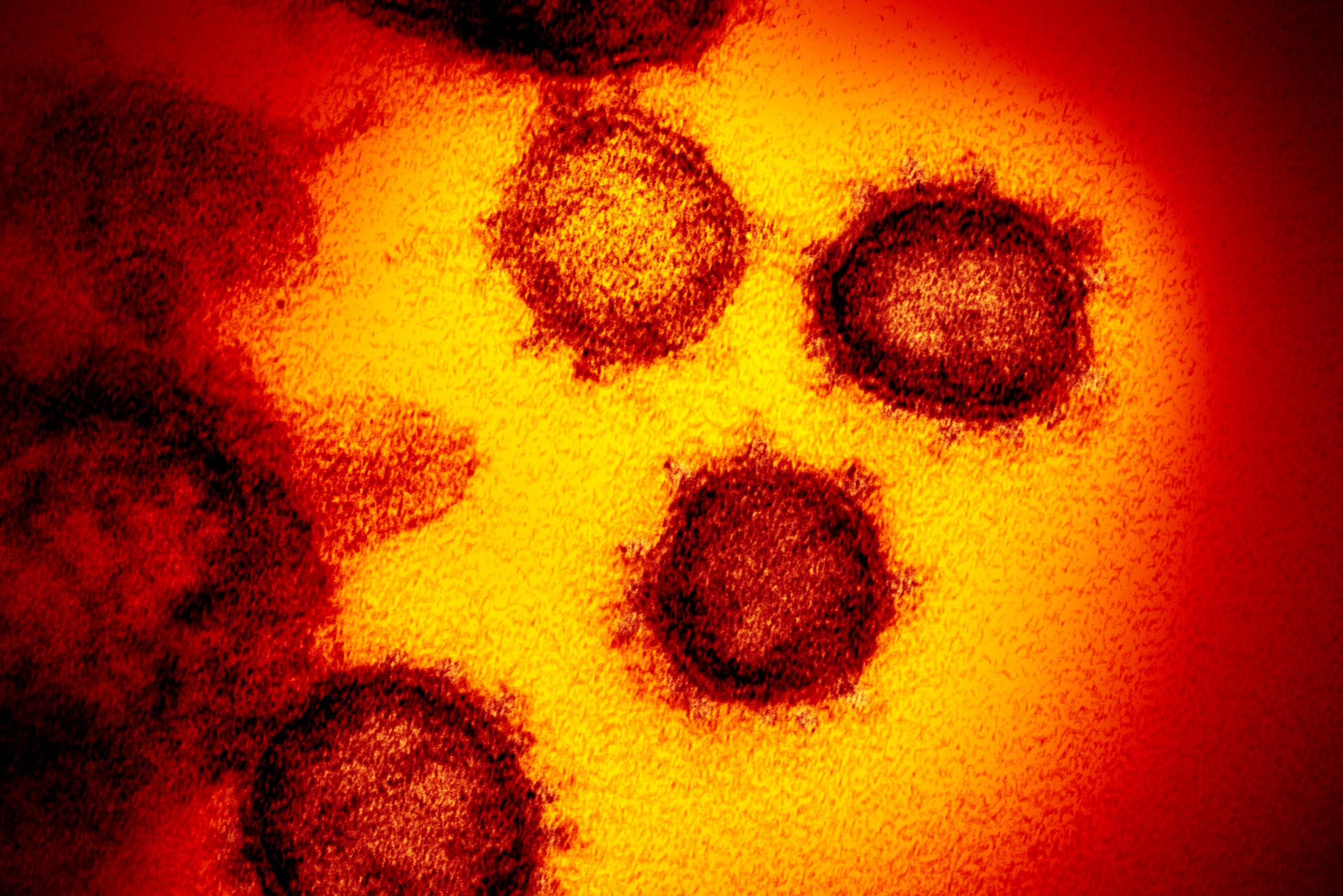 Coronavirus Outbreak