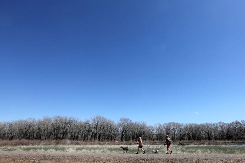 Walking dogs at Chatfield State Park