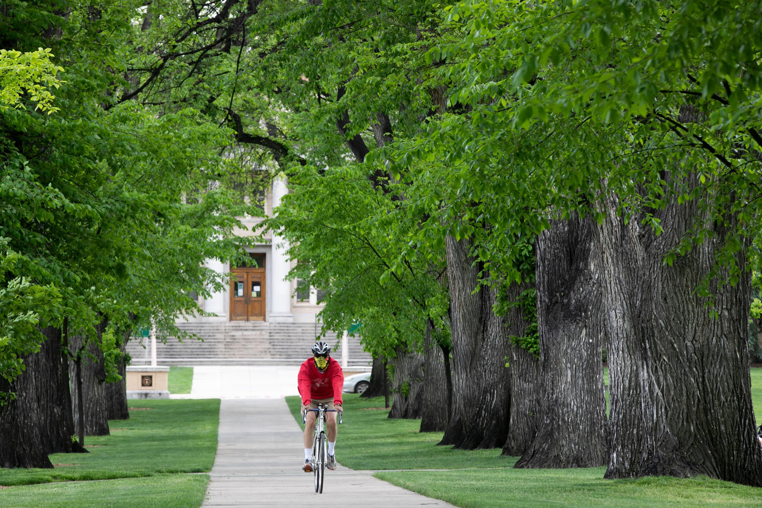 Colorado State University CSU Campus Cyclist Face Mask