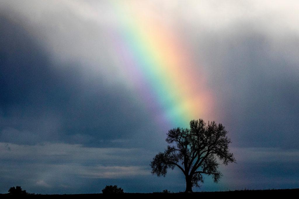 Rainbow Near Loveland