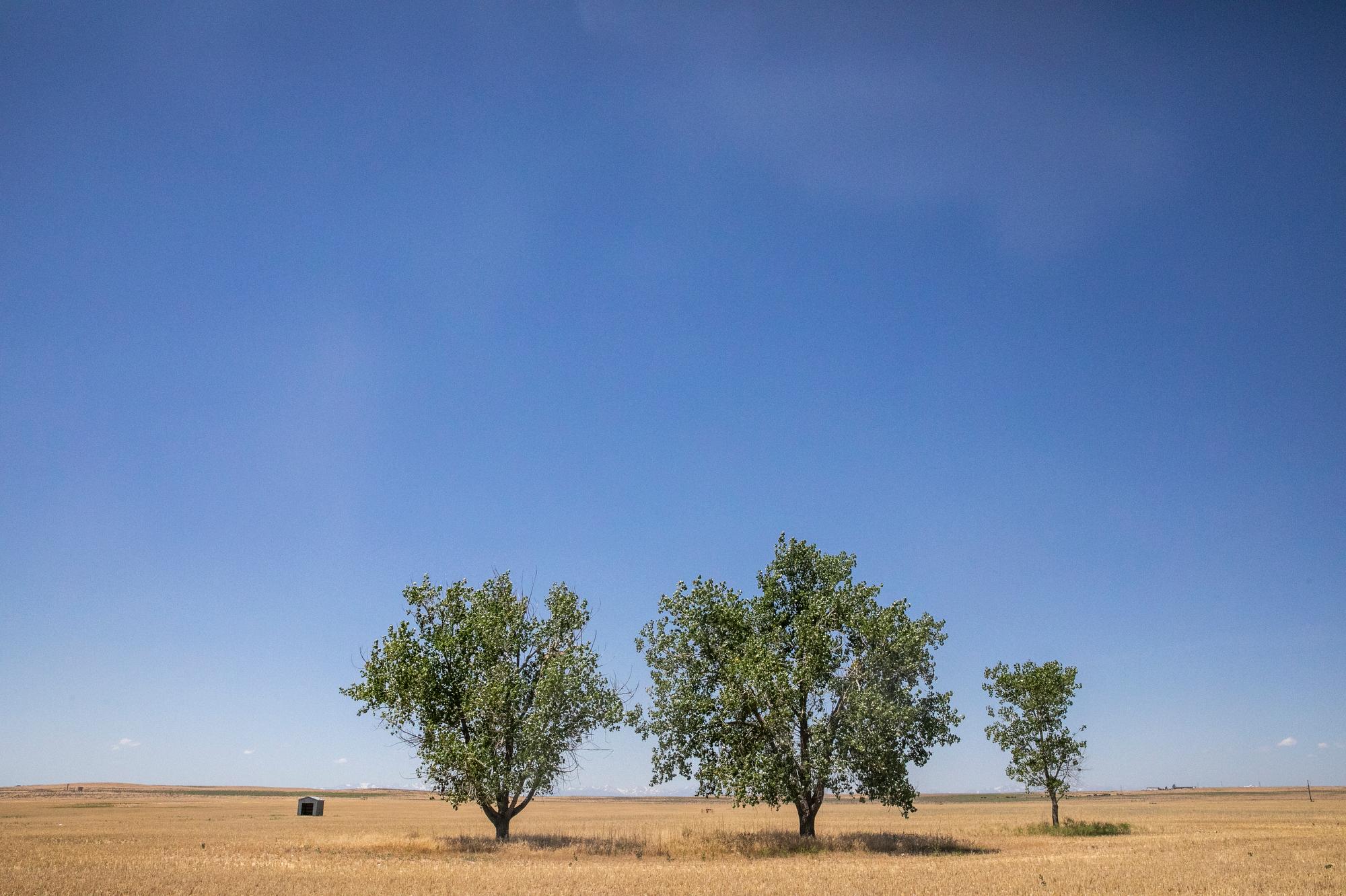 FARM-FIELD-DRY-WELD-COUNTY