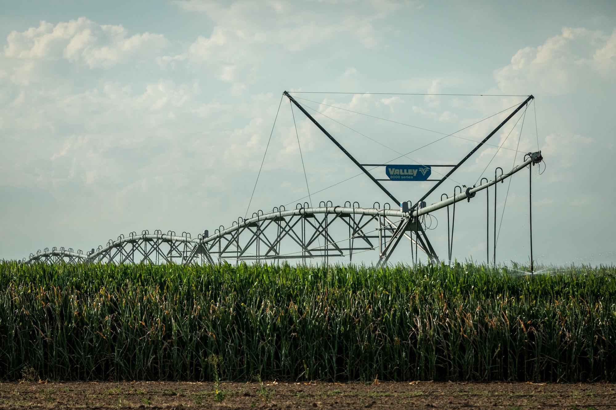 Irrigation Farming Corn Weld County