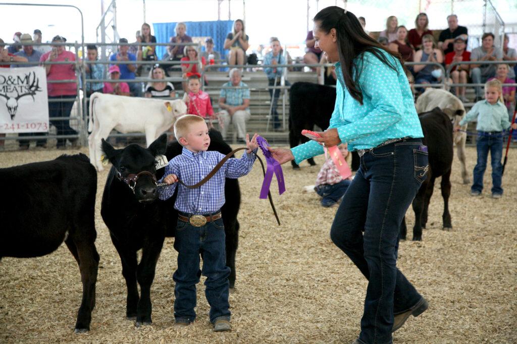 Mesa County 4H