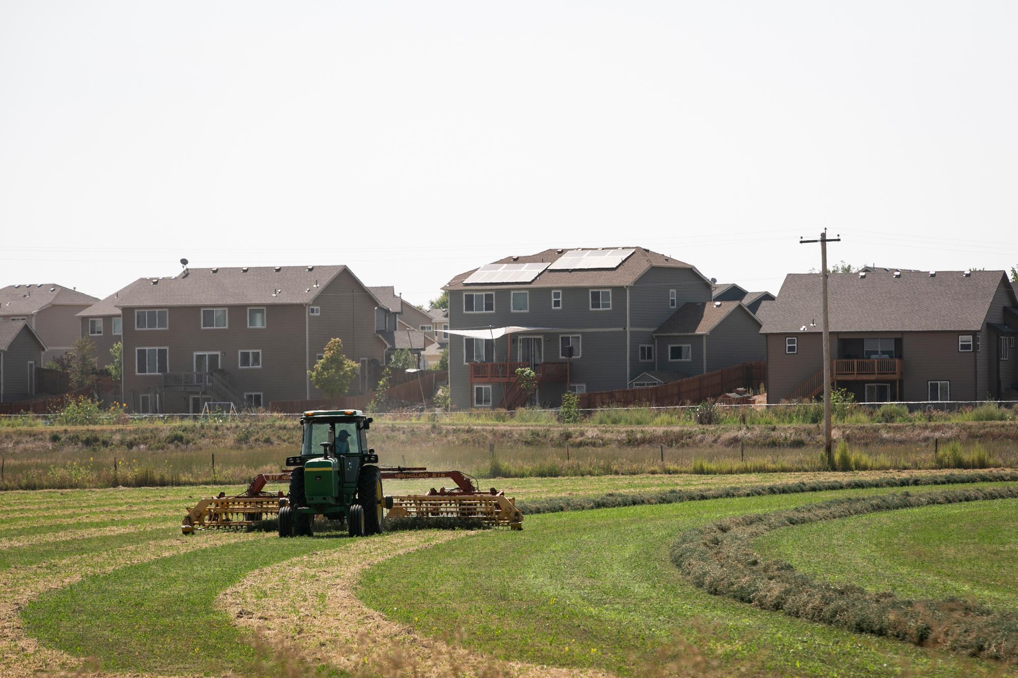 TURNING HAY AGRICULTURE WELD COUNTY