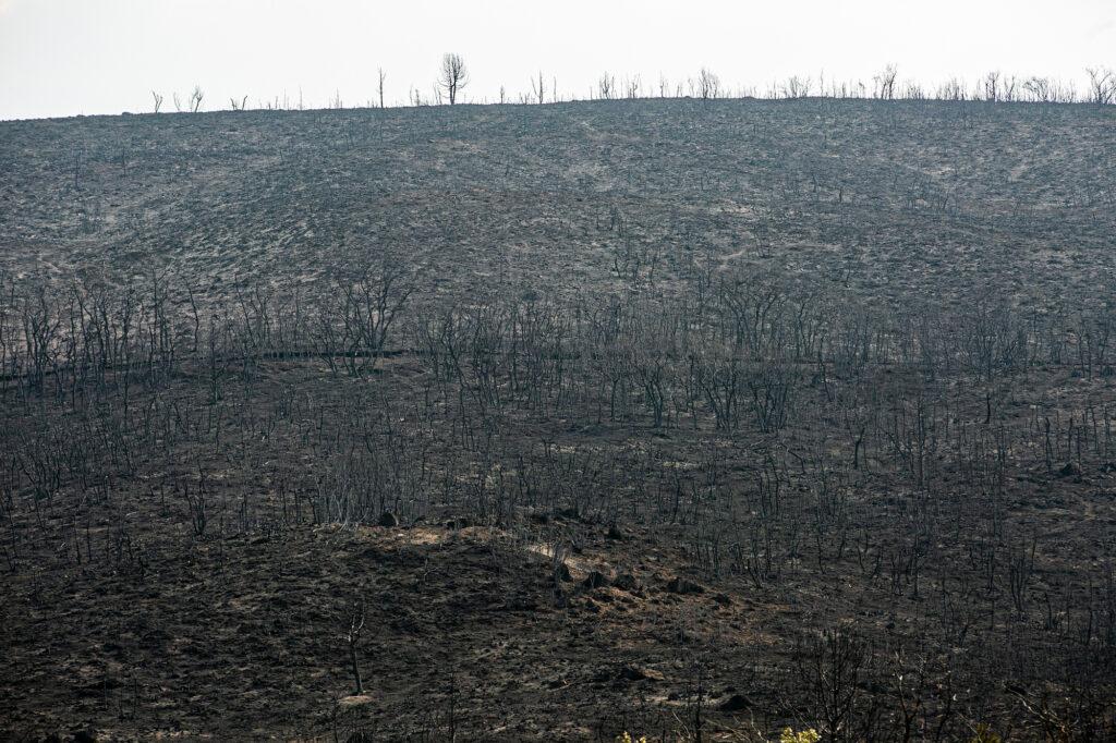 GRIZZLY CREEK FIRE GLENWOOD CANYON