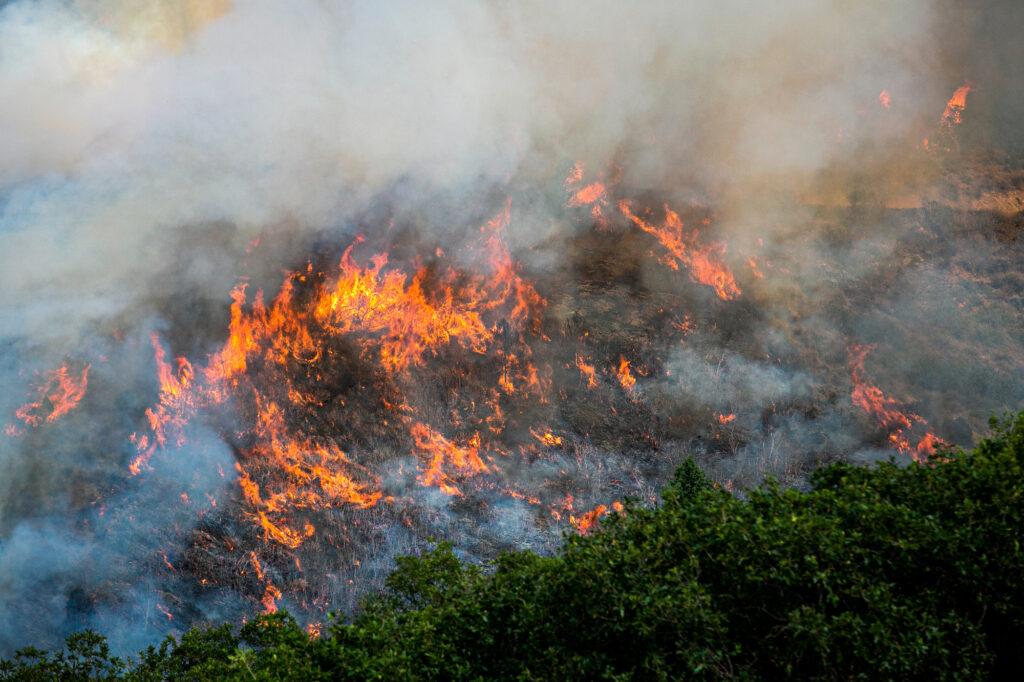 GRIZZLY CREEK FIRE GLENWOOD CANYON